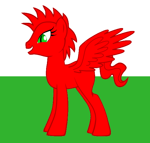 My Little Welsh Flag
